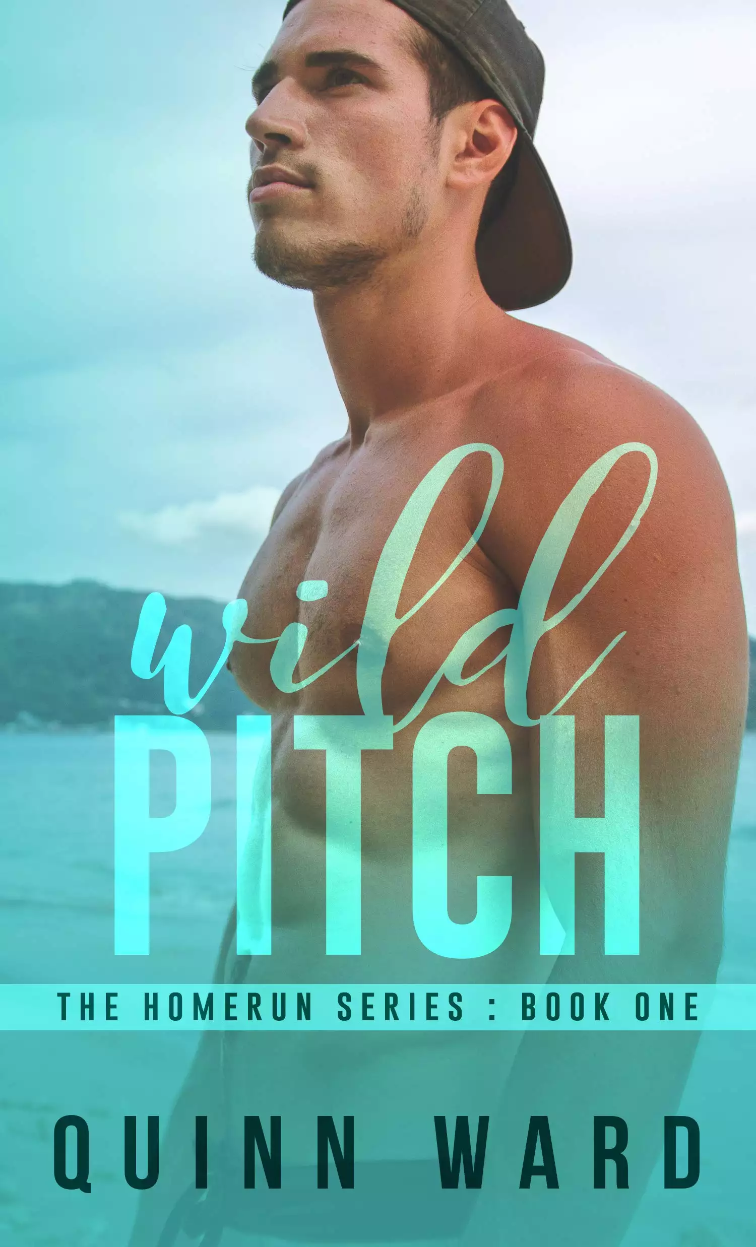 Wild Pitch: A Gay Friends to Lovers Sports Romance